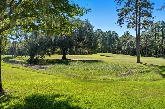 a view of a swimming pool with a yard