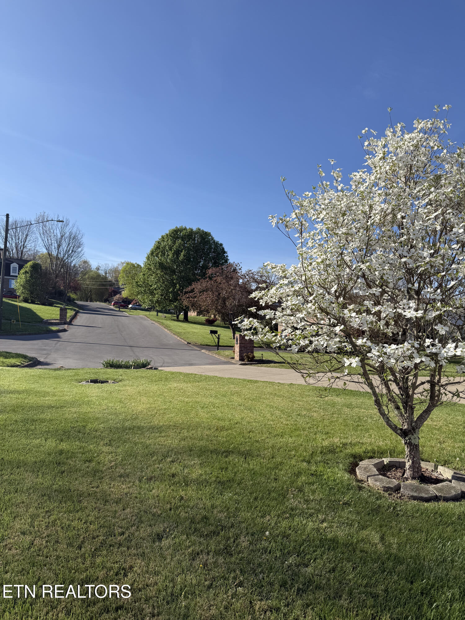 3524 Pinewood Place Kingsport, TN 37664 - Photo 31 of 32 31) 70732-69f233e10d690