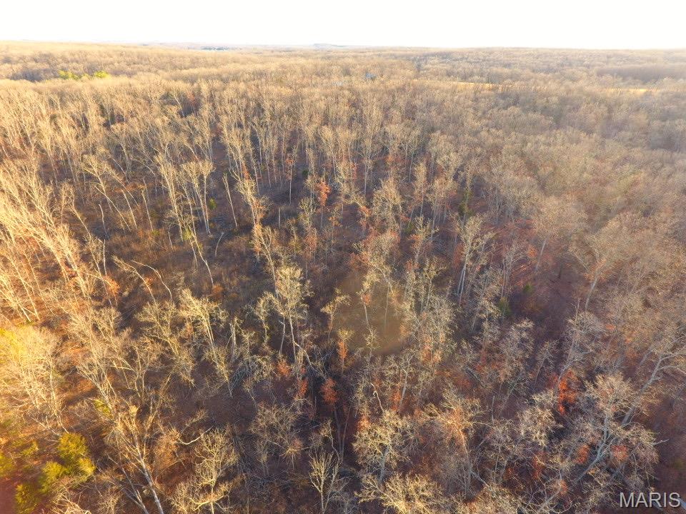 Tbd Van Horn Road Bland, MO 65014 - Photo 35 of 47