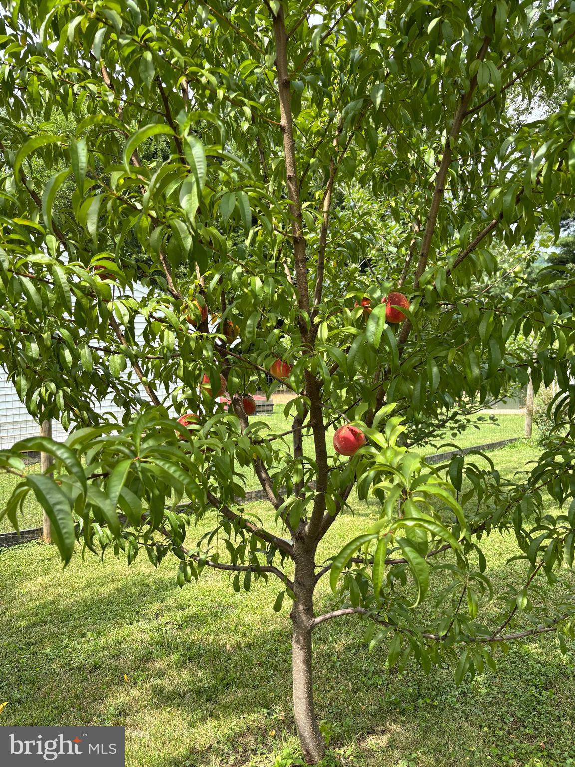 34994 Williams Gap Road Round Hill, VA 20141 - Photo 42 of 42 Gallery Image 42