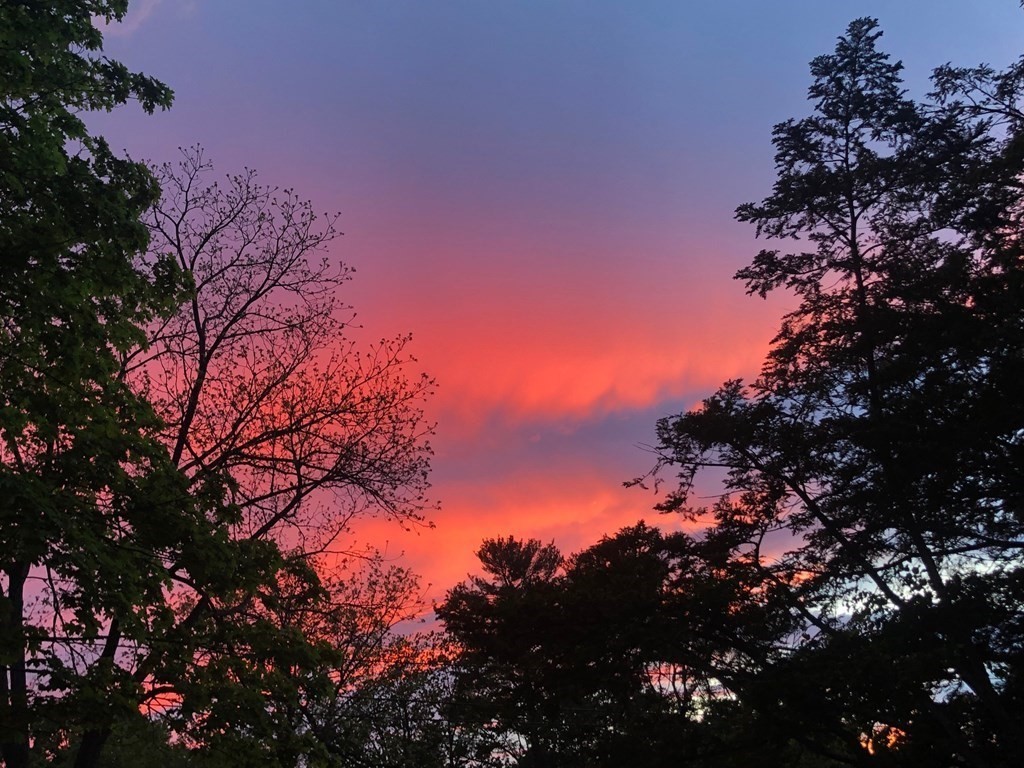 60 Country Corners Road Amherst, MA 01002 - Photo 18 of 42