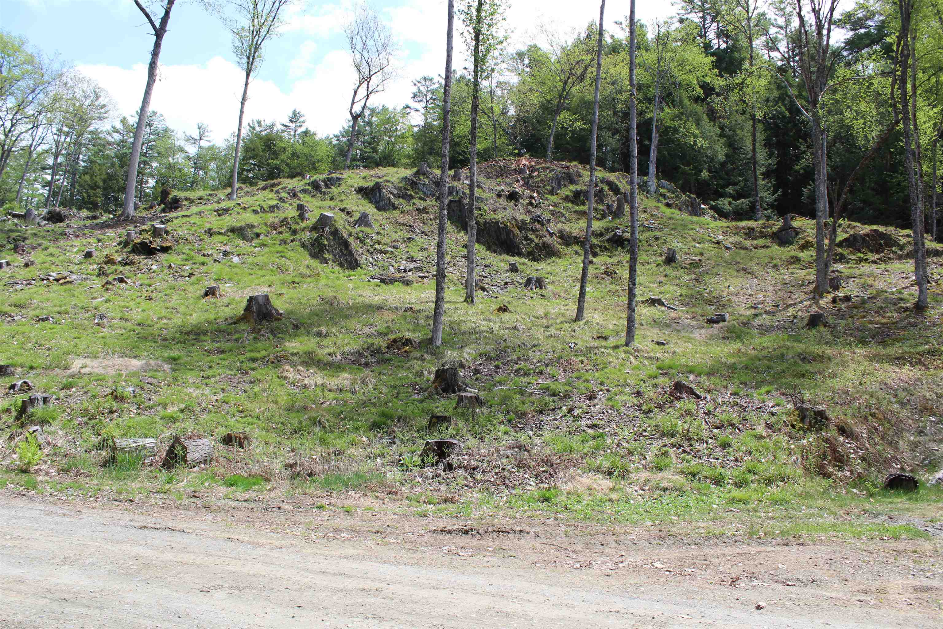 Lot 23-24 Wetherbee Road Lyman, NH 03585 - Photo 37 of 54