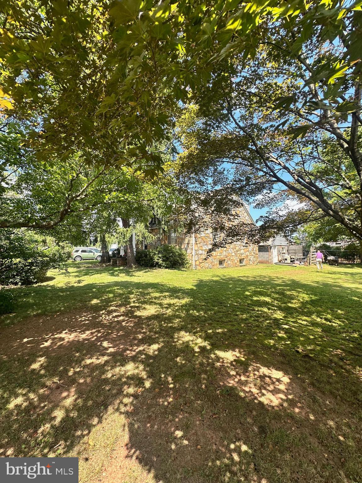 8118 Rugby Road Manassas Park, VA 20111 - Photo 7 of 7 a view of a trees with a yard