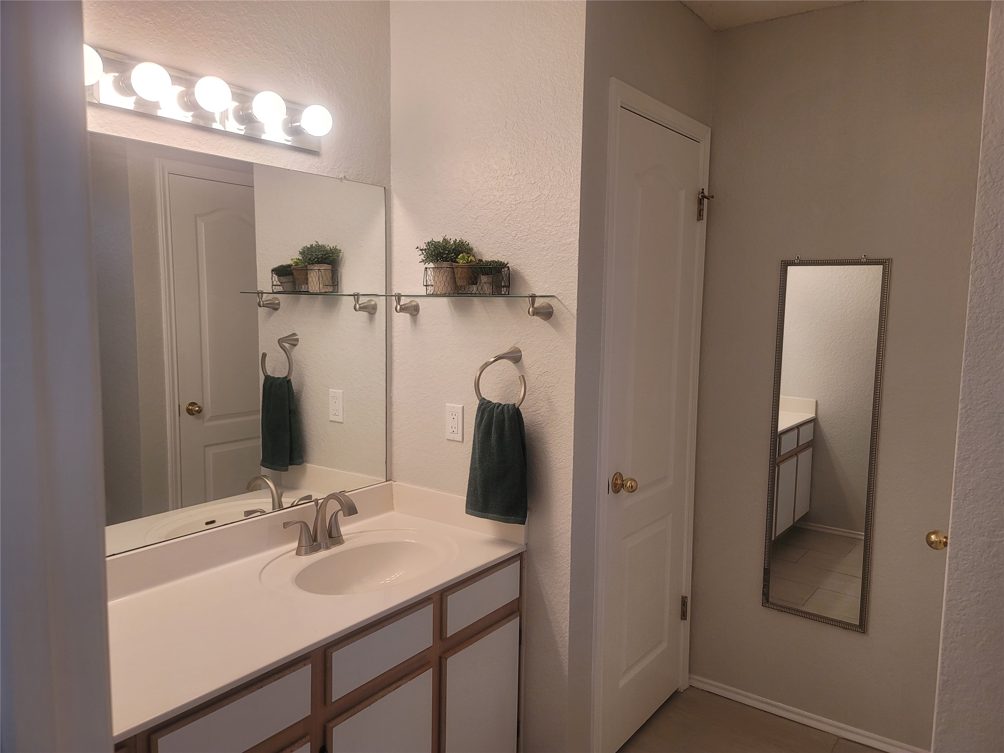 1805 Timber Ridge Drive Cedar Park, TX 78613 - Photo 15 of 21 a bathroom with a sink vanity and mirror
