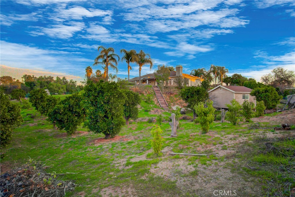 18120 Gentian Avenue Riverside, CA 92508 - Photo 49 of 51 a view of a garden
