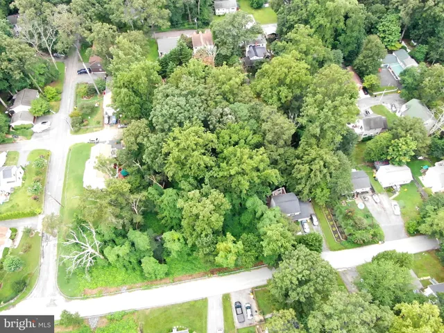 a view of a garden with plants