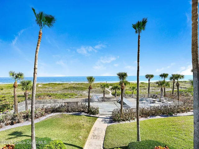 a view of a park with a tree