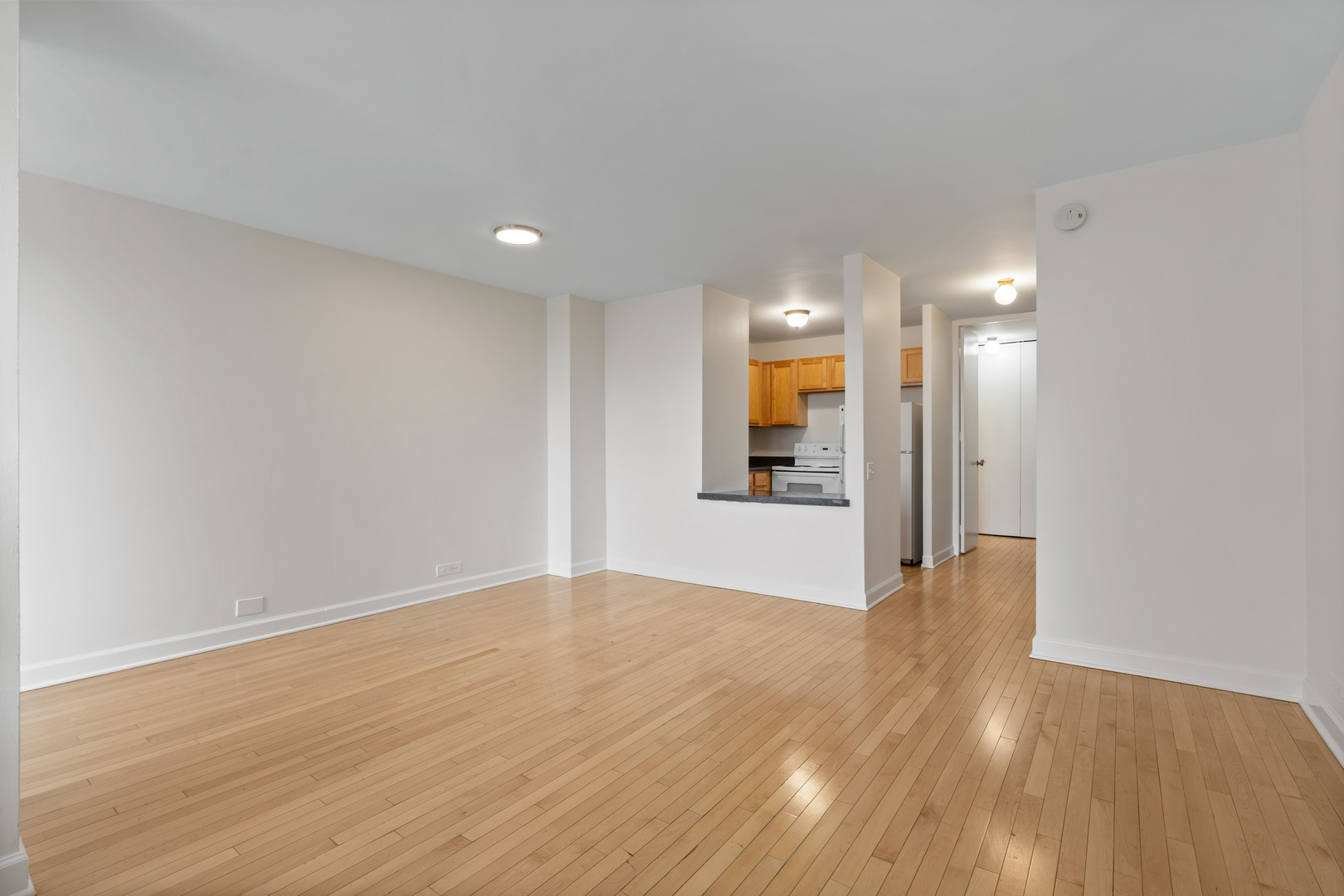 1030 North State Street, Unit 5M Chicago, IL 60610 - Photo 4 of 14 a view of a big room with wooden floor and a kitchen