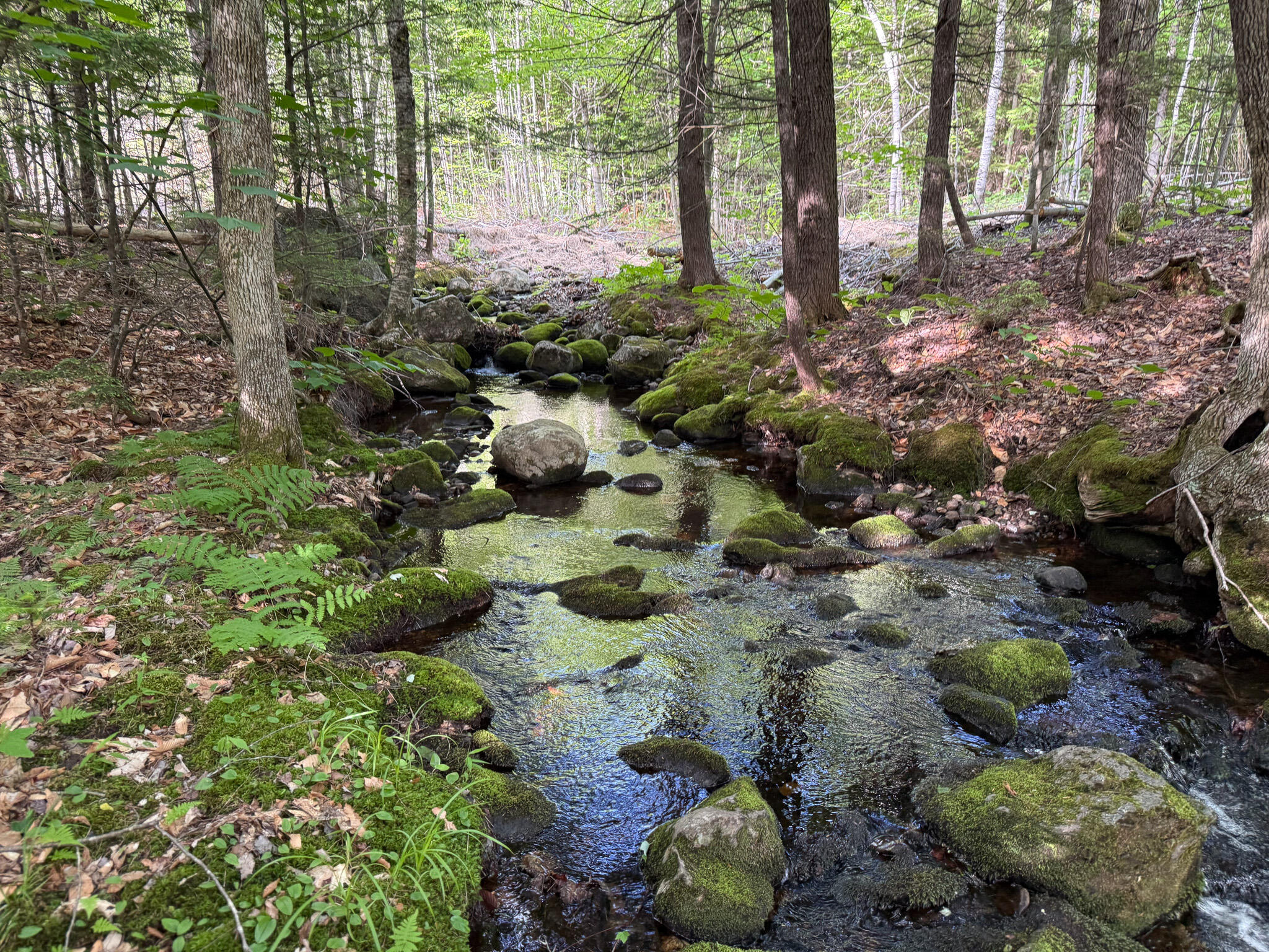 10 Map Road Peru, ME 04290 - Photo 9 of 21