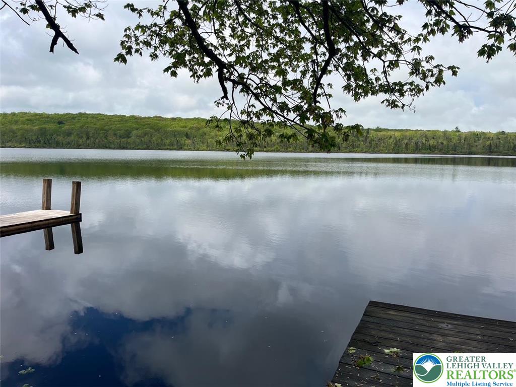 119 Little Mud Pond Road Dingmans Ferry, PA 18328 - Photo 20 of 23 a view of outdoor space with lake view