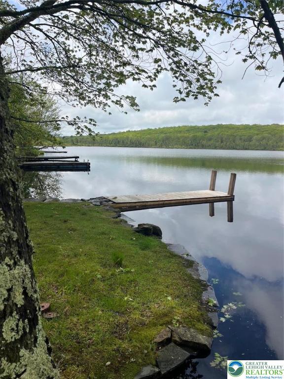 119 Little Mud Pond Road Dingmans Ferry, PA 18328 - Photo 21 of 23 a view of lake with outdoor space