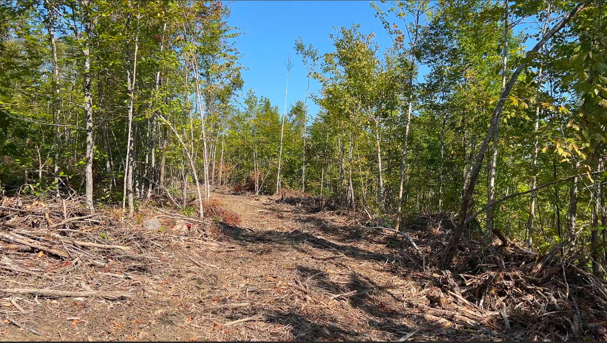 Lot 7 Chadwick Pt Road Weston, ME 04424 - Photo 14 of 18 Screen Shot 2022-09-12 at 3.23.31 PM