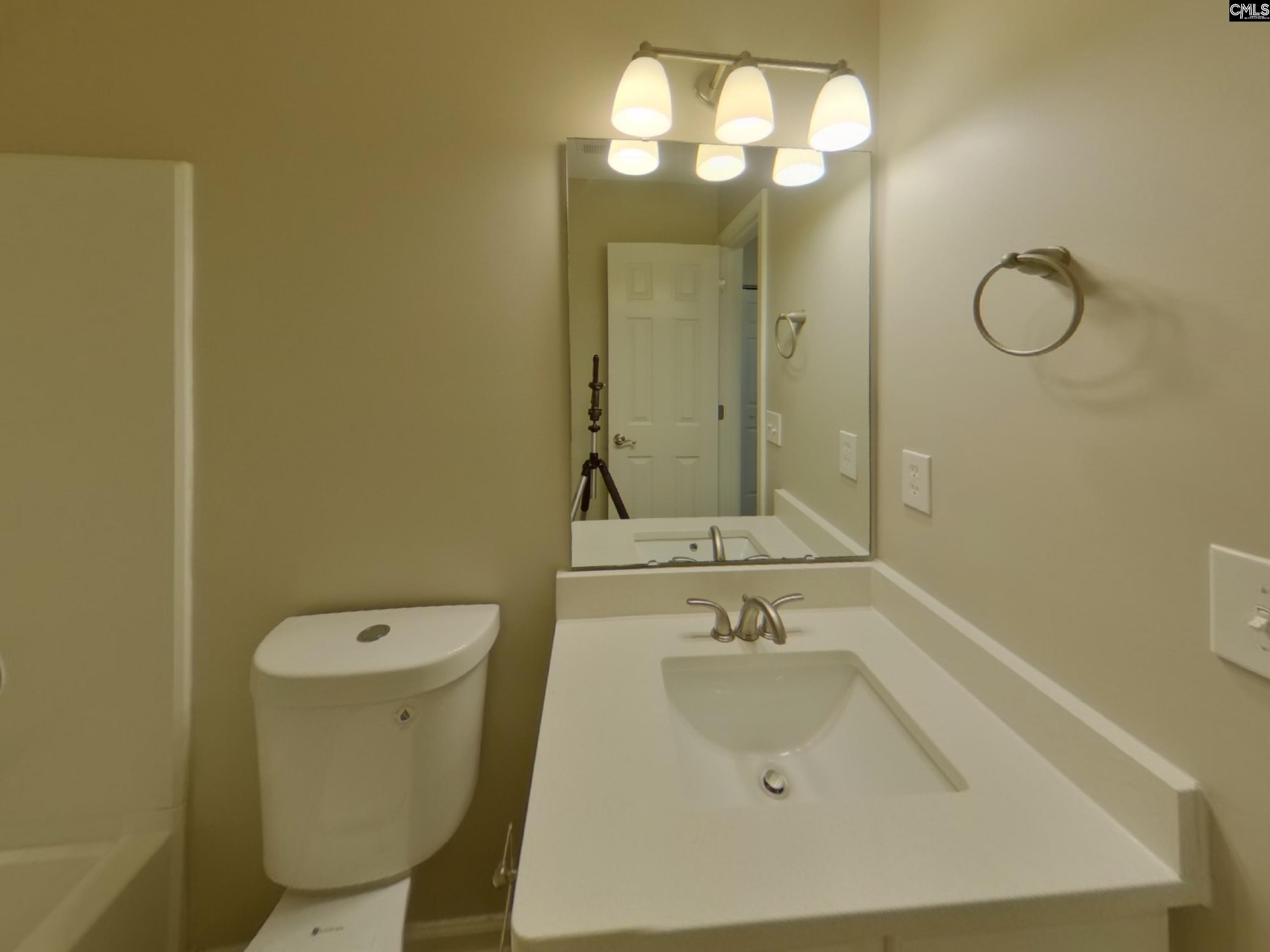 237 Tea Olive Avenue Lexington, SC 29073 - Photo 17 of 19