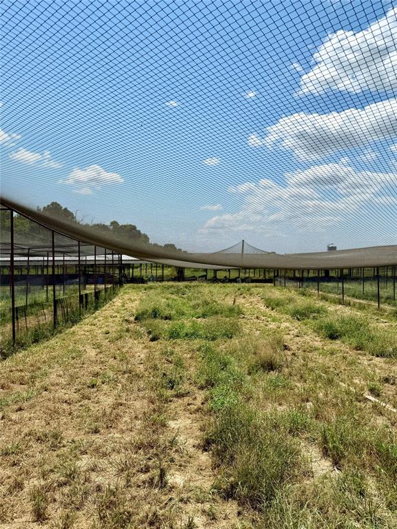 1500 Lumkins Road Forreston, TX 76041 - Photo 9 of 14 a view of swimming pool