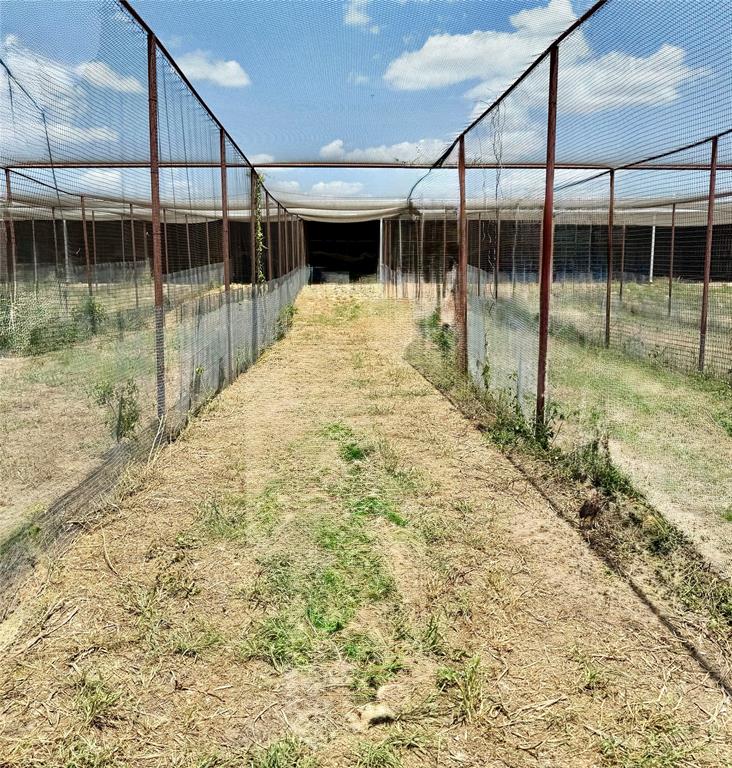 1500 Lumkins Road Forreston, TX 76041 - Photo 10 of 14 a view of a swimming pool