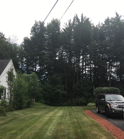 13 Yvonne Street Rochester, NH 03867 - Photo 11 of 15