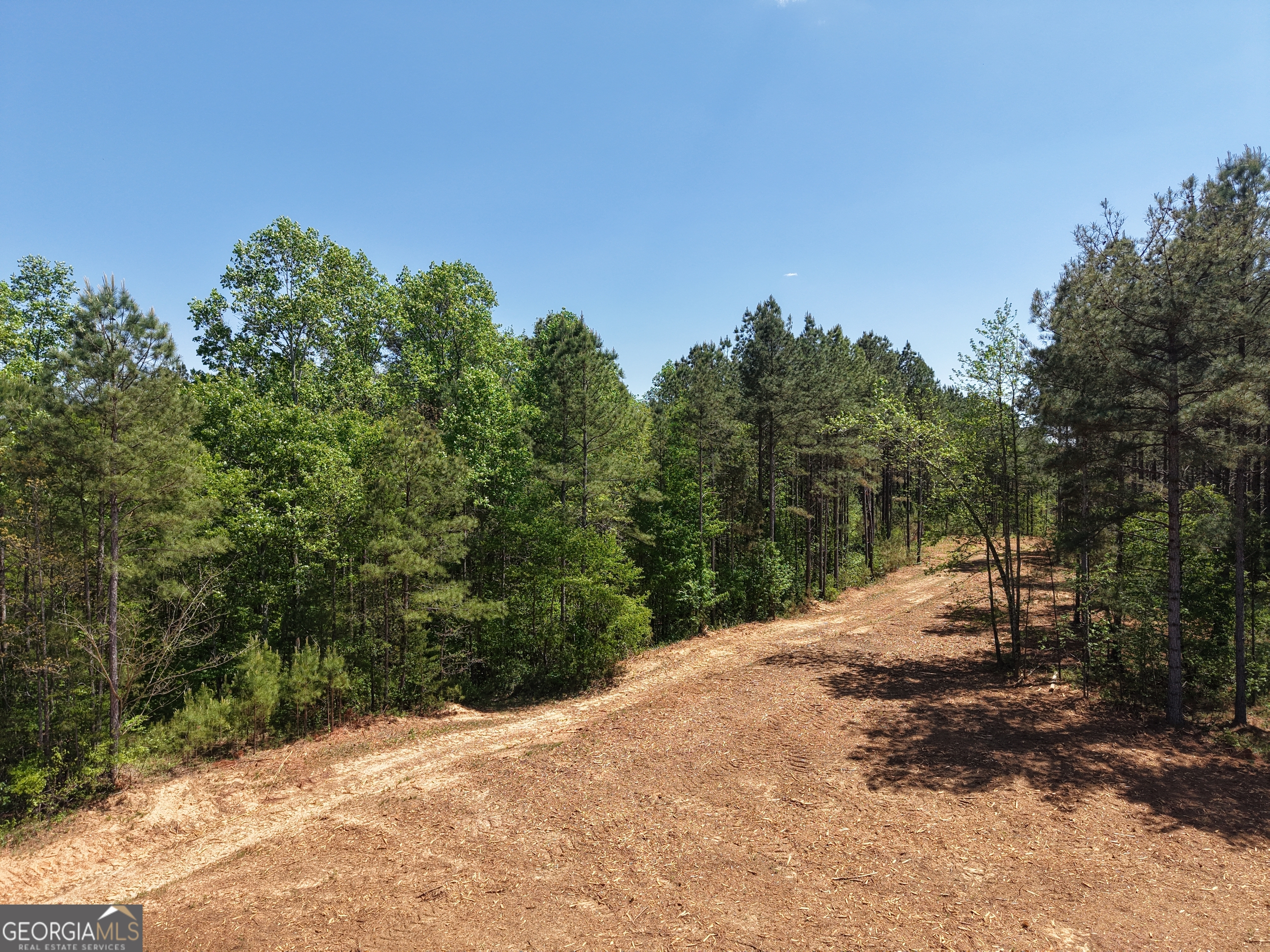 0 Ryo Mountain Road, Unit 9609 Fairmount, GA 30139 - Photo 15 of 87 Gallery Image 15