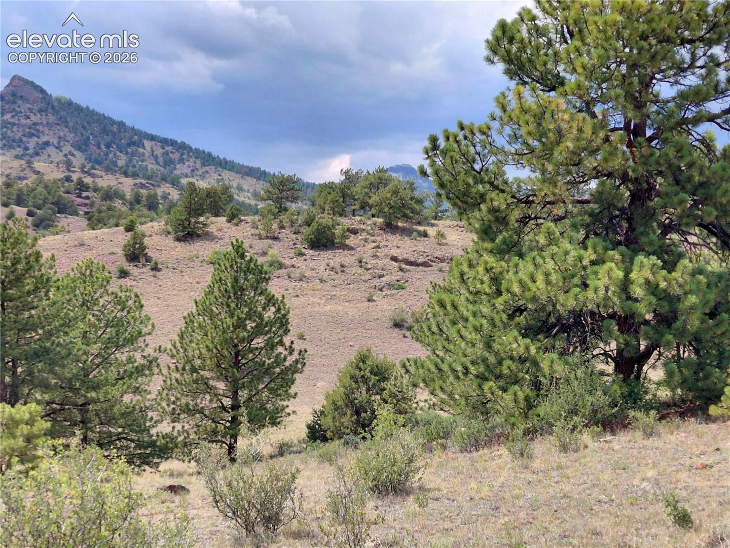 70 Owls Nest Road Guffey, CO 80820 - Photo 4 of 26 Gallery Image 4