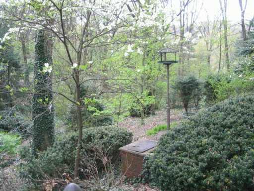 215 Siebert Road Pittsburgh, PA 15237 - Photo 3 of 8