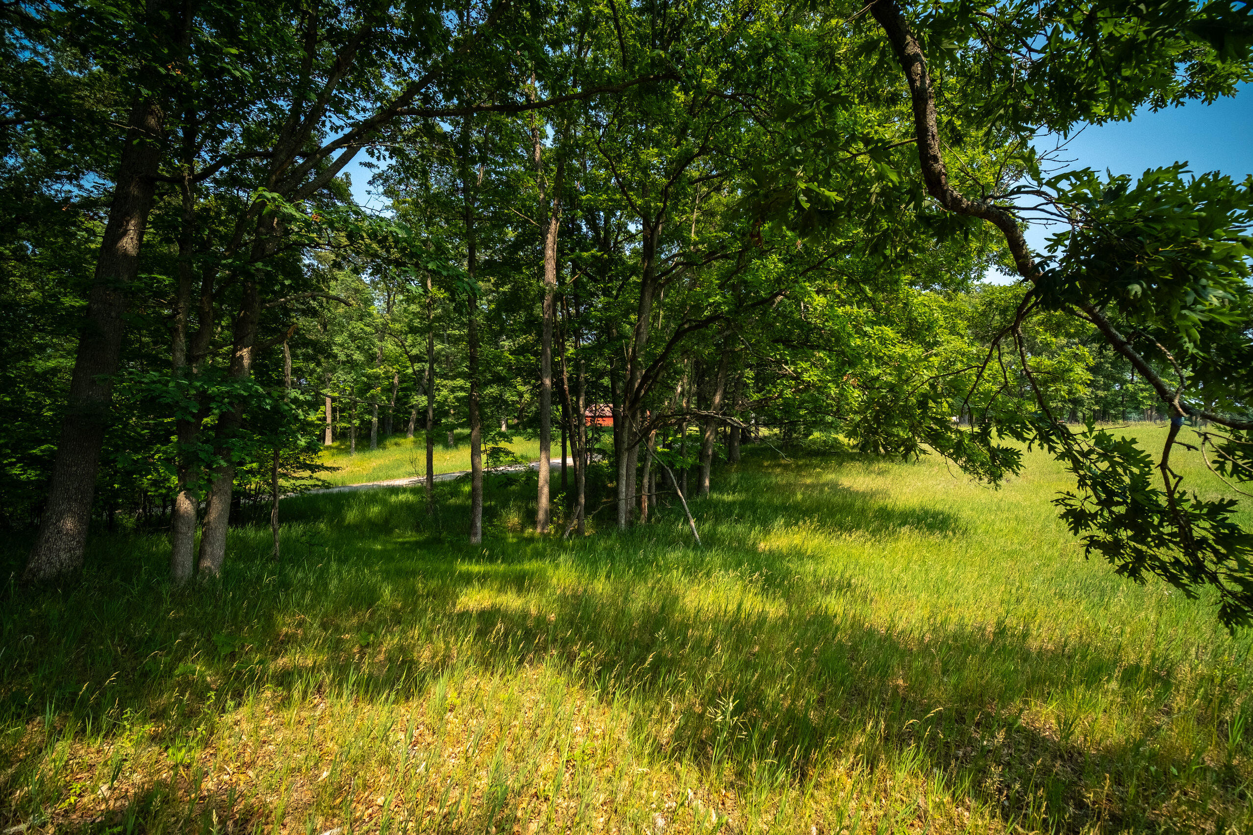 8161 Hunters Ridge Drive Irons, MI 49644 - Photo 1 of 37 Back of lot looking to road