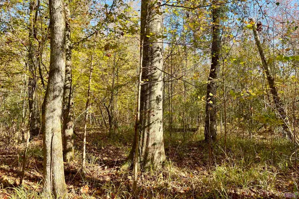 $455,000 | 1 Stampley Road, Roxie, MS 39661