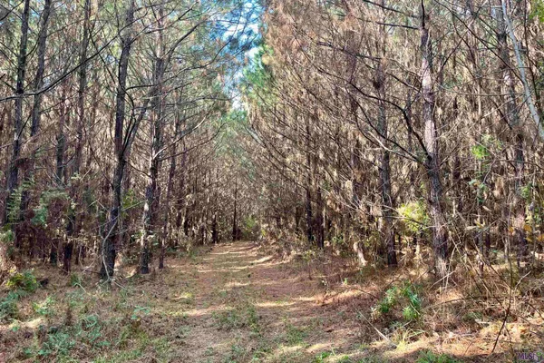 $455,000 | 1 Stampley Road, Roxie, MS 39661