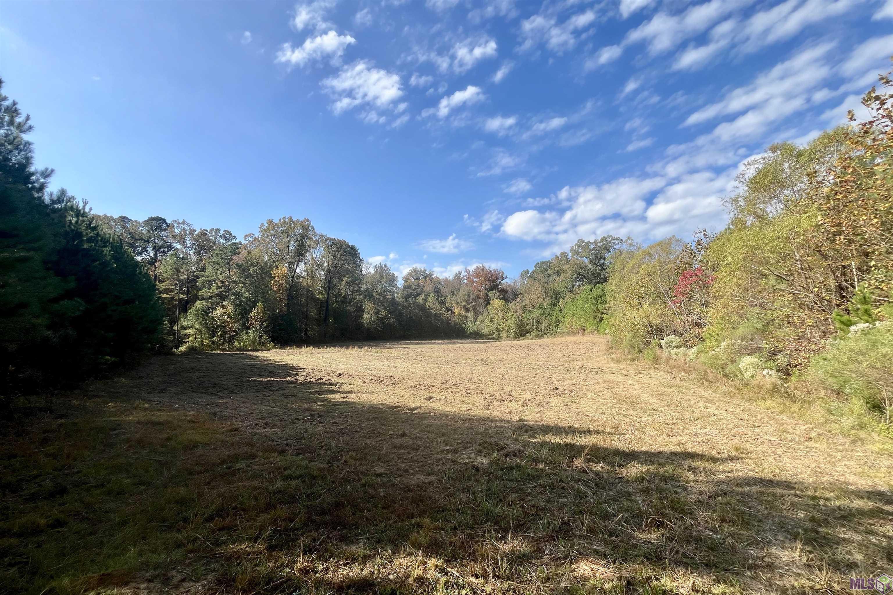 1 Stampley Road Roxie, MS 39661 - Photo 14 of 36