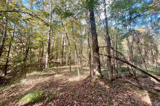 $455,000 | 1 Stampley Road, Roxie, MS 39661