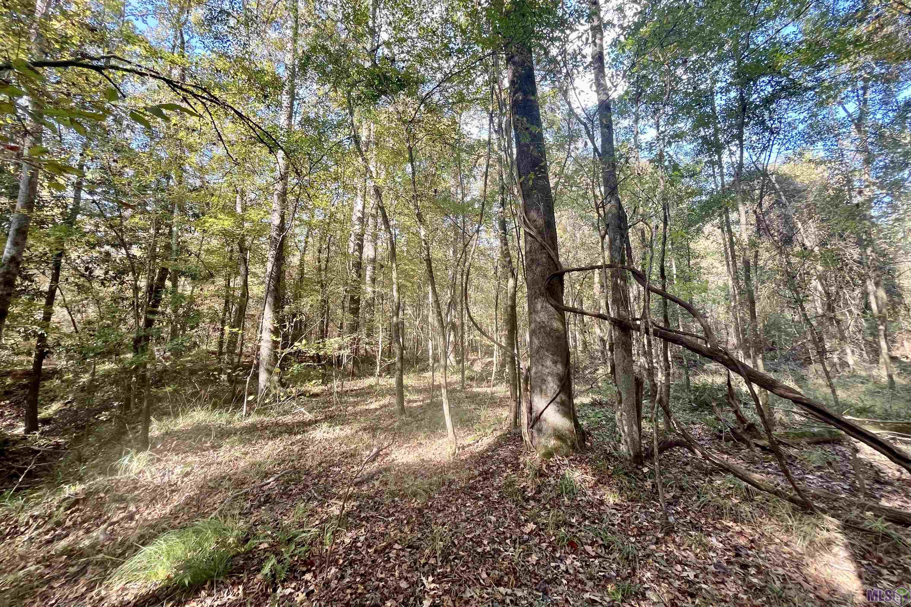 1 Stampley Road Roxie, MS 39661 - Photo 16 of 36