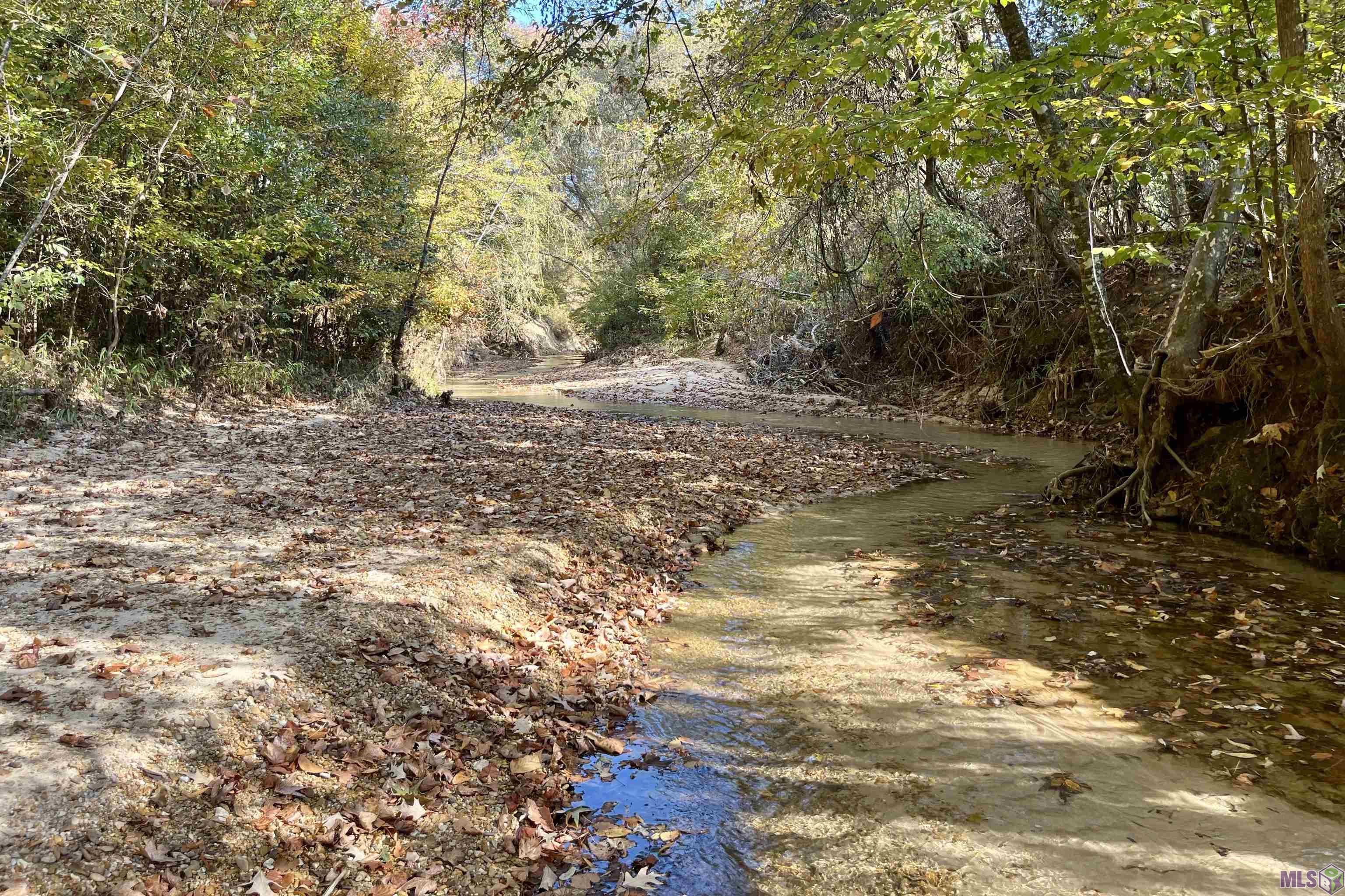 1 Stampley Road Roxie, MS 39661 - Photo 17 of 36