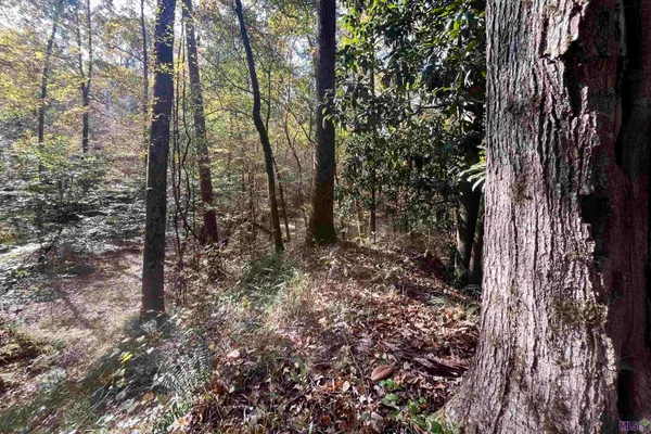 $455,000 | 1 Stampley Road, Roxie, MS 39661