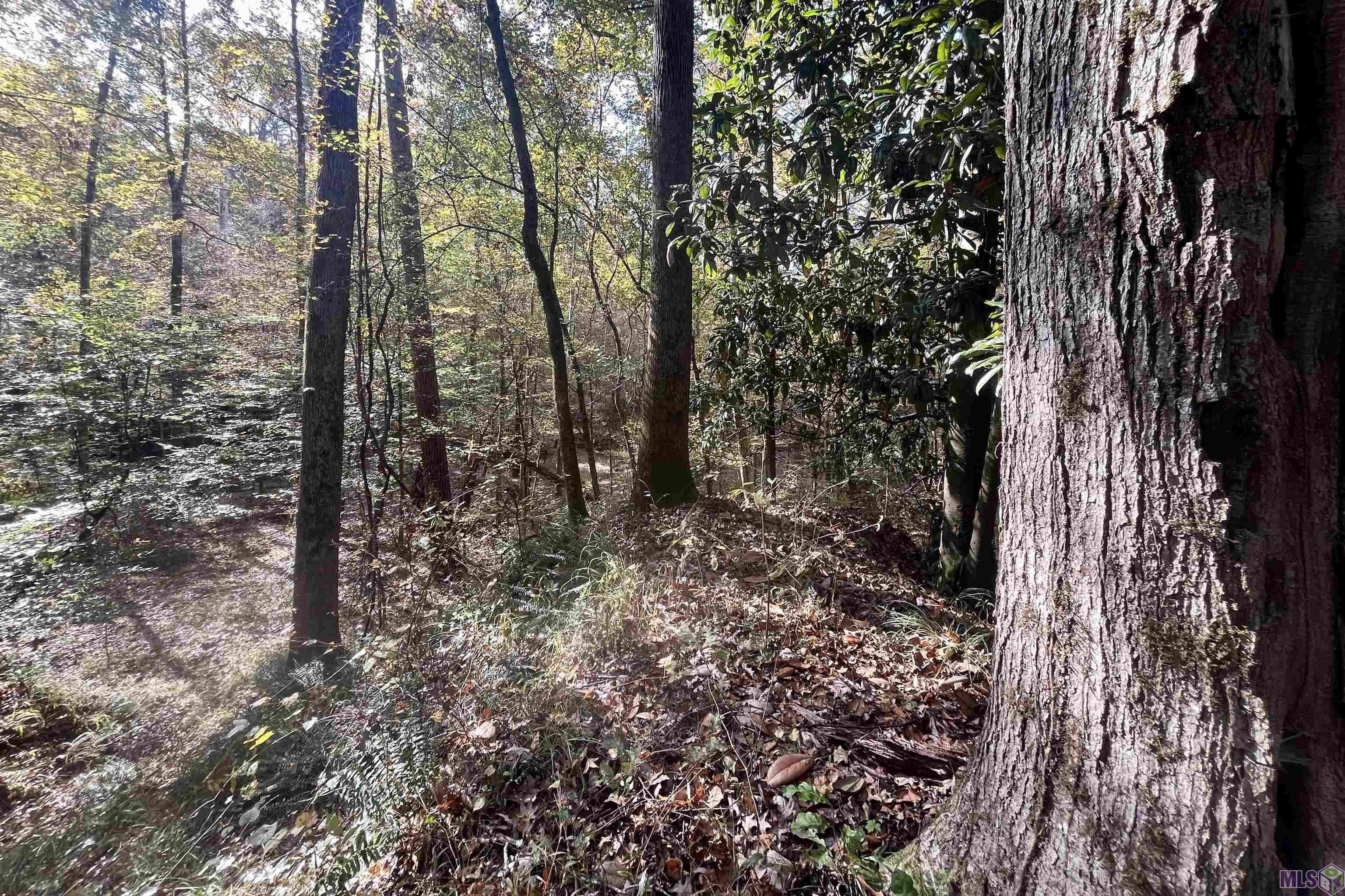 1 Stampley Road Roxie, MS 39661 - Photo 18 of 36