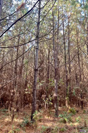 $455,000 | 1 Stampley Road, Roxie, MS 39661