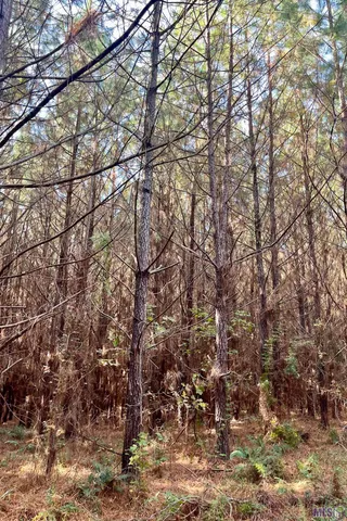 $455,000 | 1 Stampley Road, Roxie, MS 39661