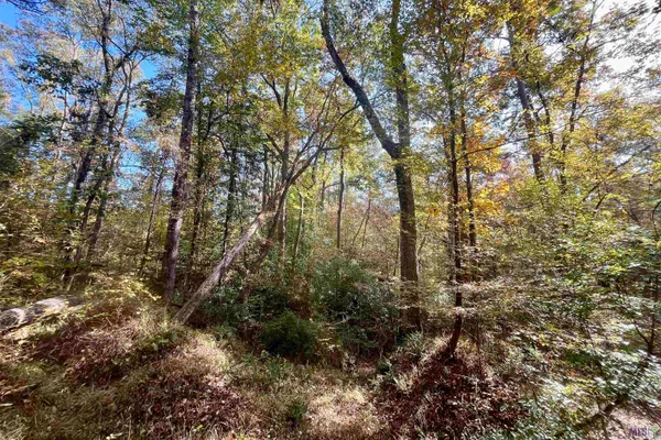 $455,000 | 1 Stampley Road, Roxie, MS 39661