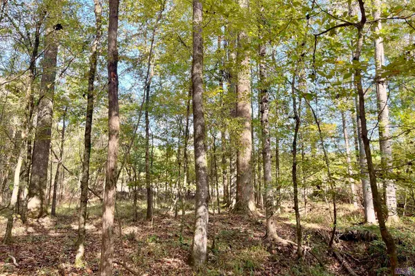 $455,000 | 1 Stampley Road, Roxie, MS 39661