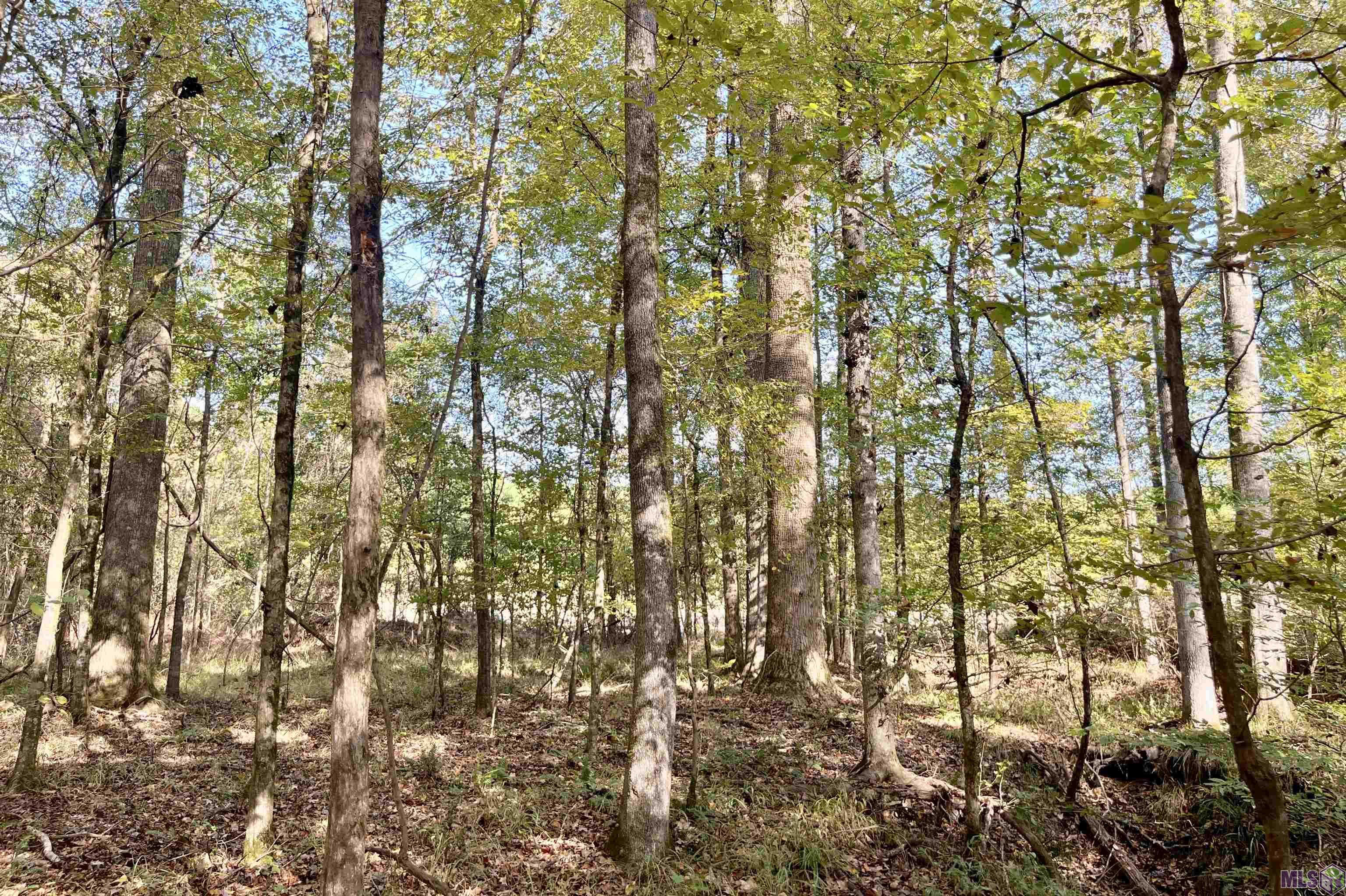 1 Stampley Road Roxie, MS 39661 - Photo 2 of 36