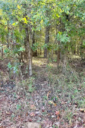 $455,000 | 1 Stampley Road, Roxie, MS 39661