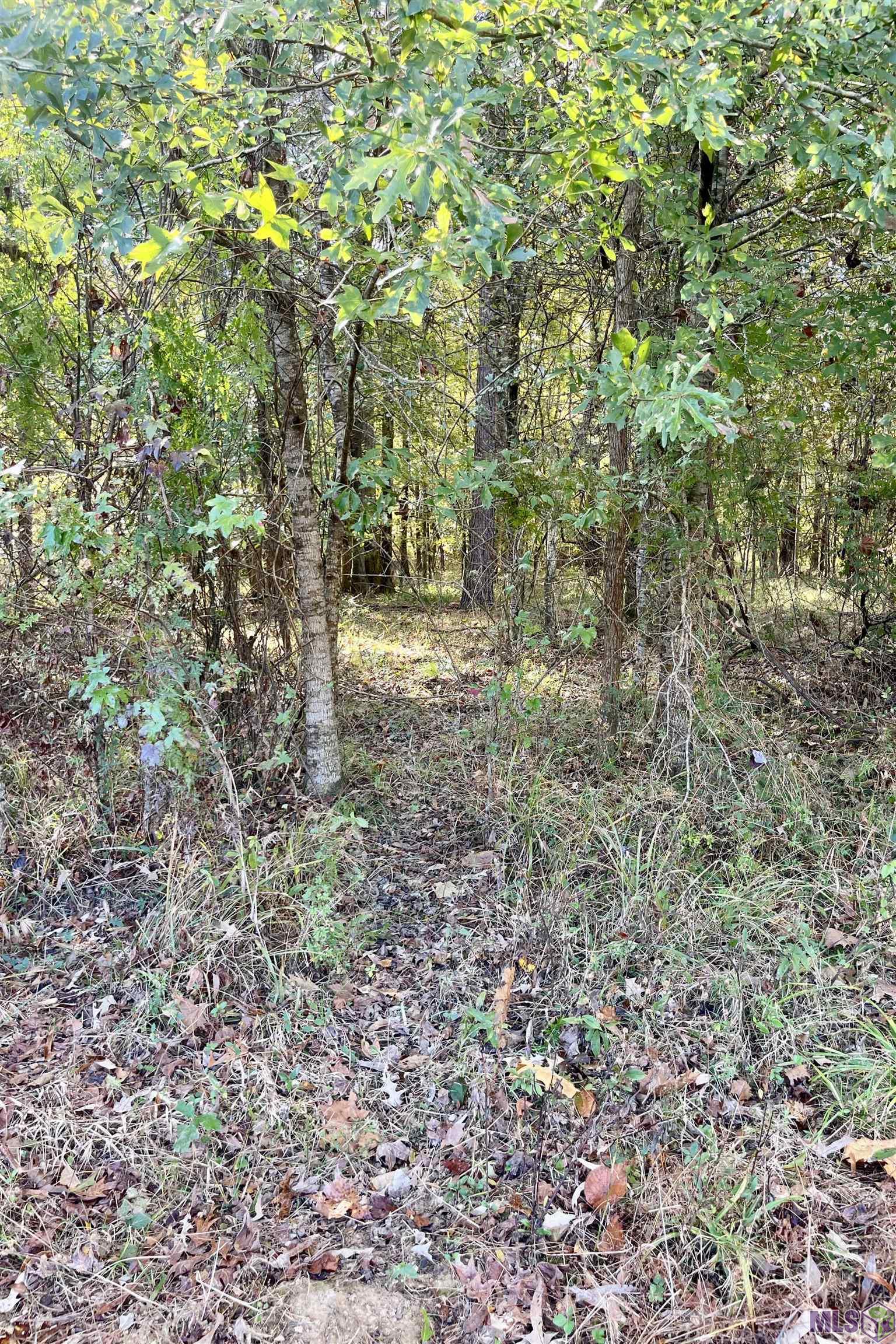 1 Stampley Road Roxie, MS 39661 - Photo 21 of 36