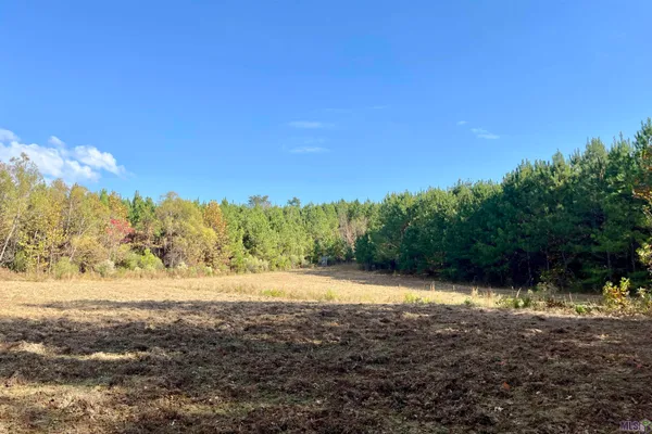 $455,000 | 1 Stampley Road, Roxie, MS 39661