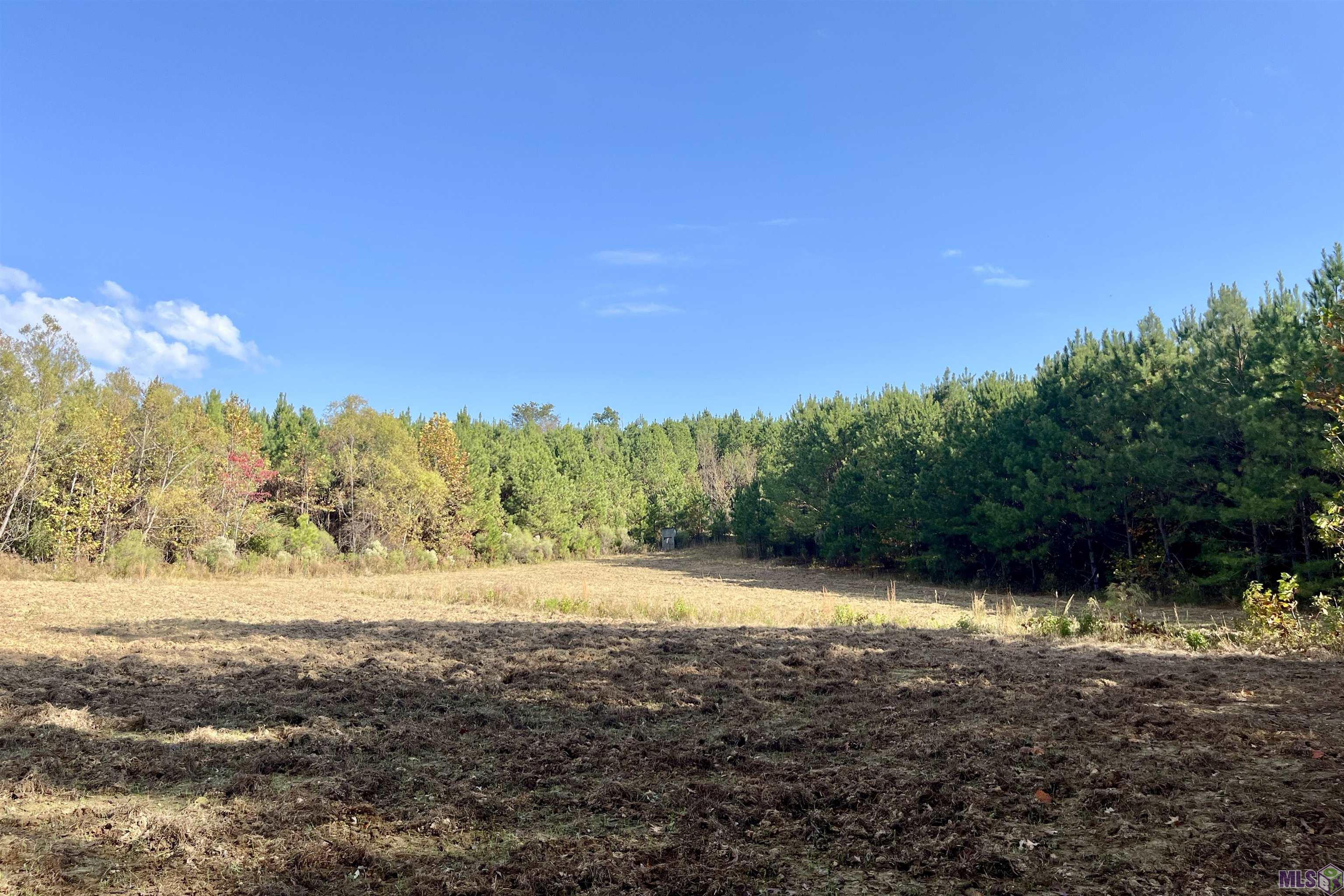 1 Stampley Road Roxie, MS 39661 - Photo 23 of 36