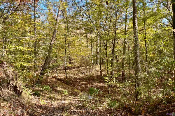 $455,000 | 1 Stampley Road, Roxie, MS 39661