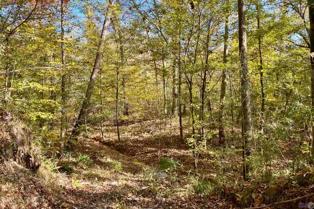 $455,000 | 1 Stampley Road, Roxie, MS 39661