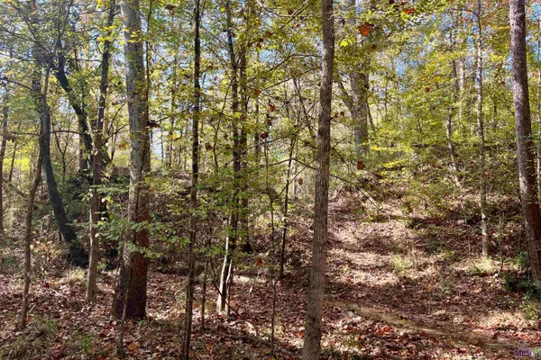 $455,000 | 1 Stampley Road, Roxie, MS 39661