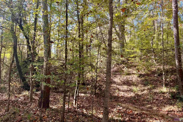 $455,000 | 1 Stampley Road, Roxie, MS 39661