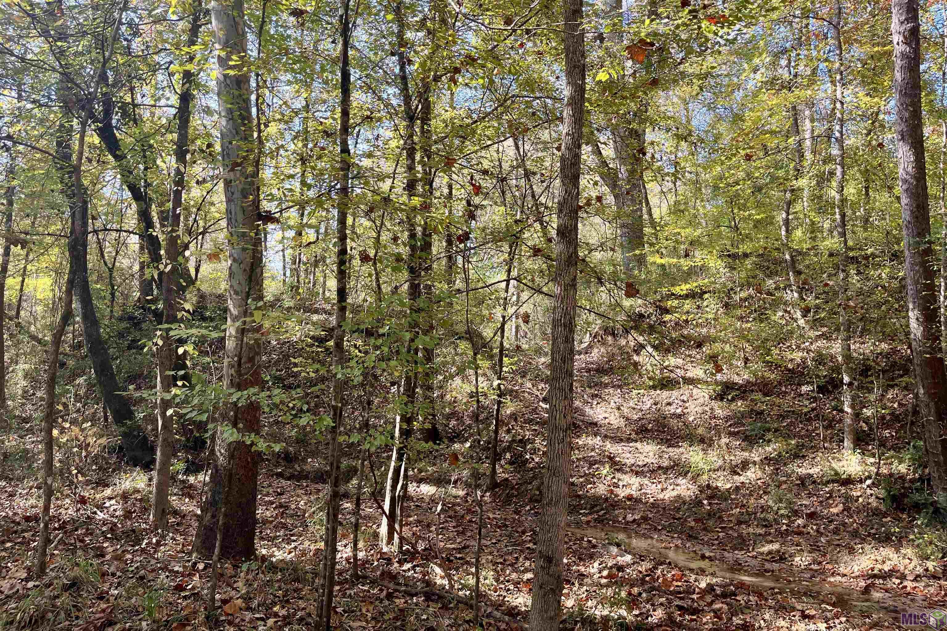 1 Stampley Road Roxie, MS 39661 - Photo 26 of 36