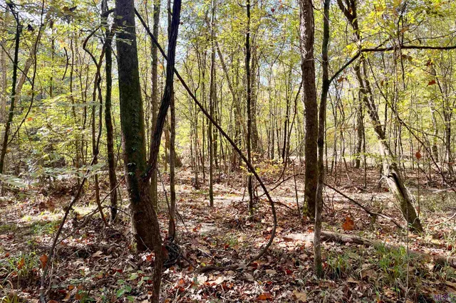 $455,000 | 1 Stampley Road, Roxie, MS 39661