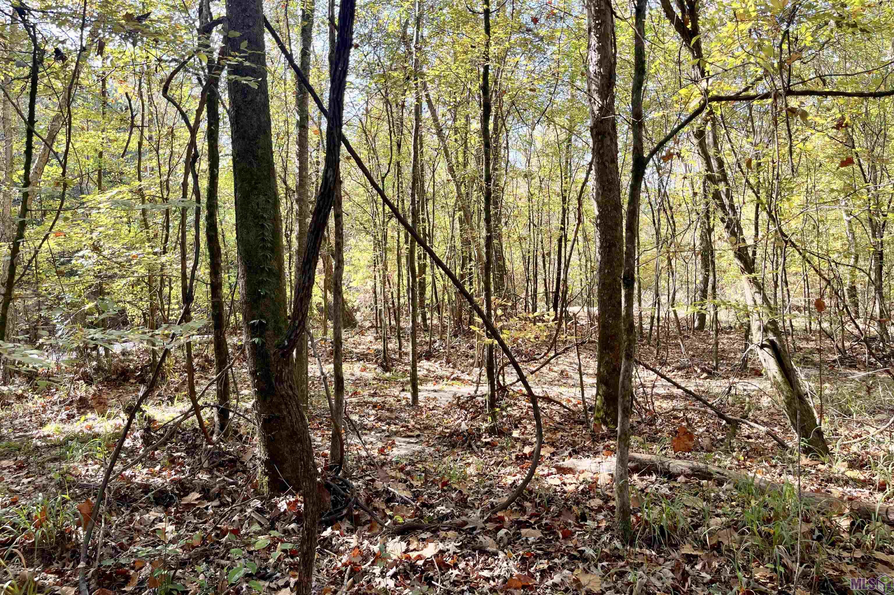 1 Stampley Road Roxie, MS 39661 - Photo 27 of 36