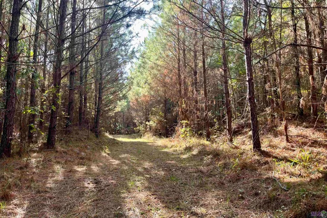 $455,000 | 1 Stampley Road, Roxie, MS 39661