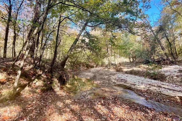 $455,000 | 1 Stampley Road, Roxie, MS 39661